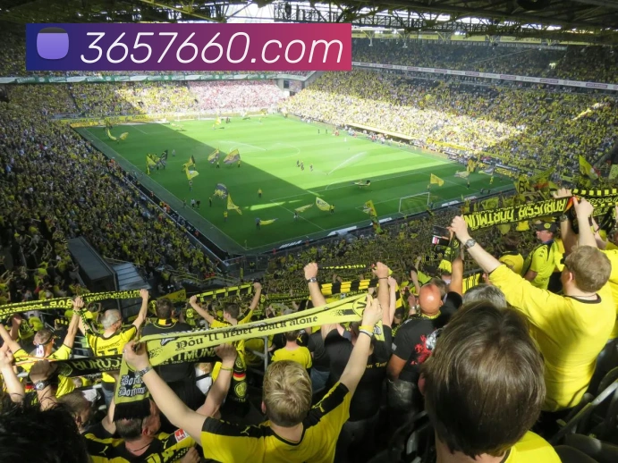 bet365品牌故事