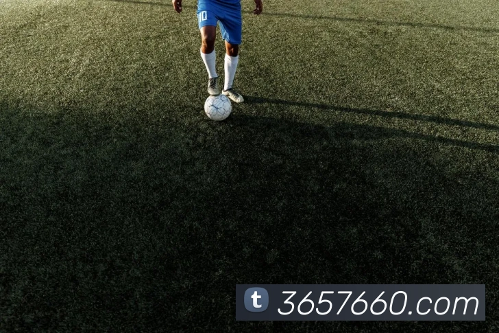 bet365服务体系